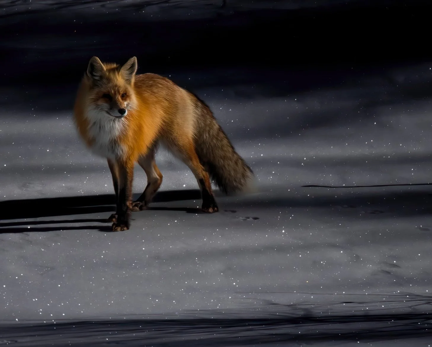 a fox in an otherworldly environment